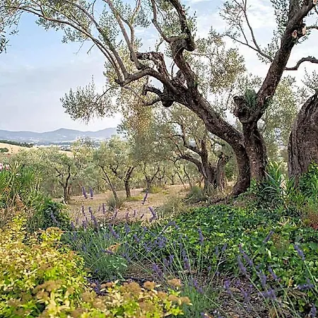 A Luxury Country On The Board Of Umbria And Tuscany With Air Condition 2* Magione
